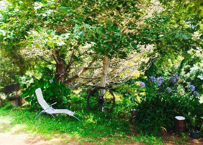 Quinta Meneses