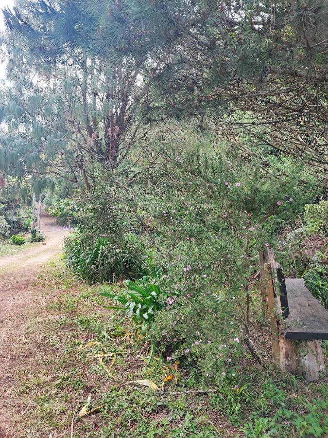 Holiday home Quinta Meneses Santa Cruz (Madeira)