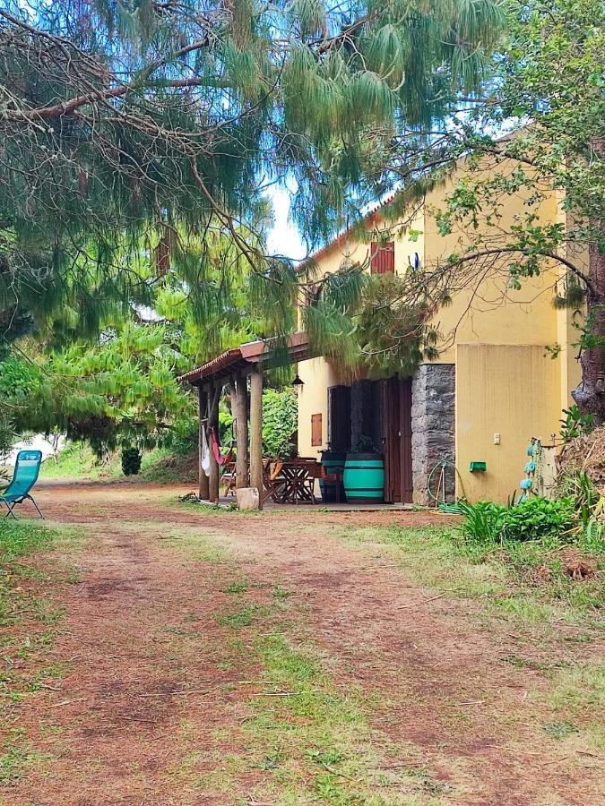 Quinta Meneses *