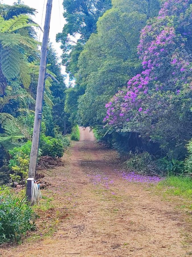 Quinta Meneses * Santa Cruz (Madeira)
