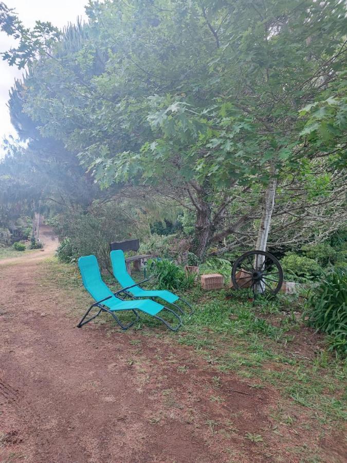 Quinta Meneses Holiday home