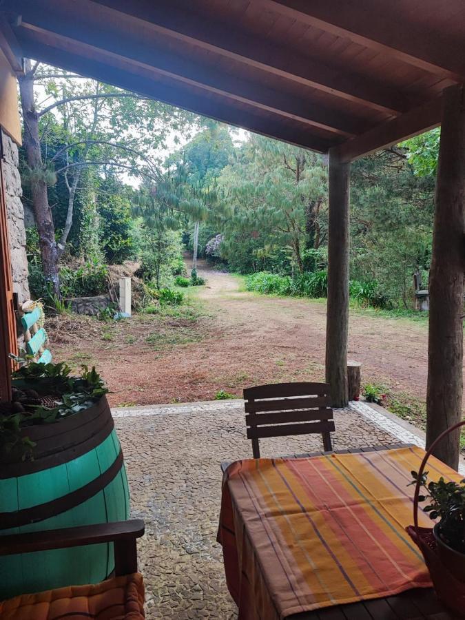 Quinta Meneses Holiday home *
