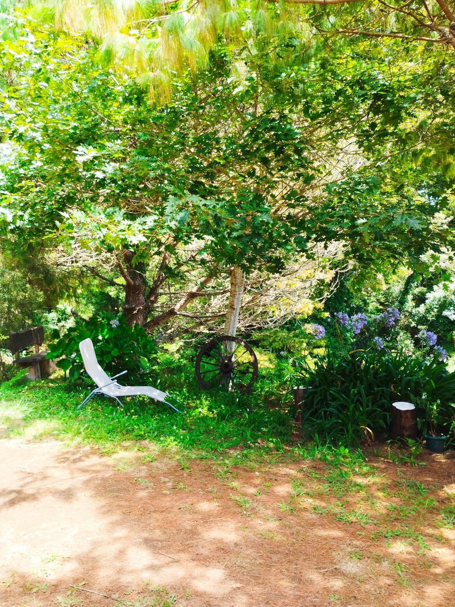 Quinta Meneses Holiday home *