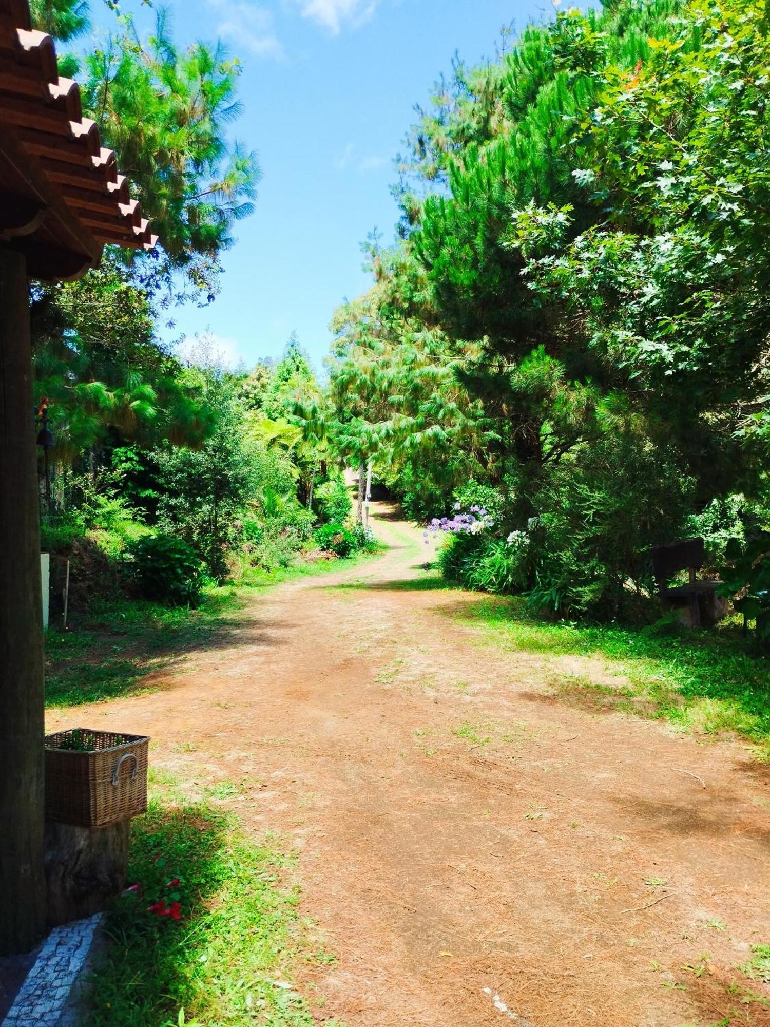 Holiday home Quinta Meneses Santa Cruz (Madeira)