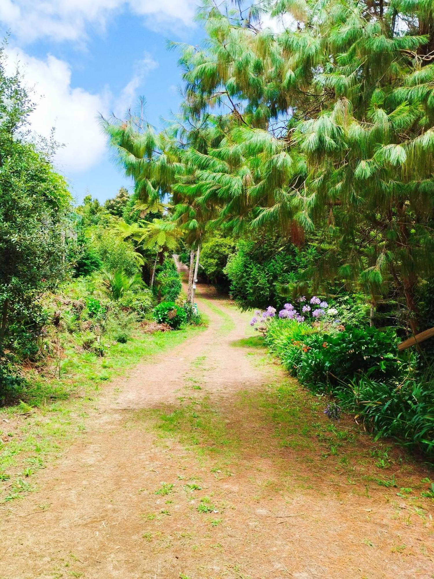Quinta Meneses * Santa Cruz (Madeira)